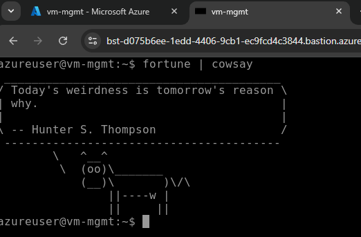 Azure Bastion connection — browser-based terminal session to VM without public IP