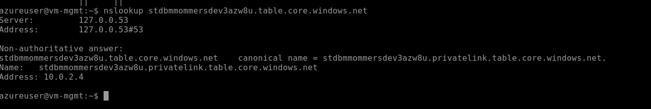 Private DNS zone linked to VNet — A record resolves storage hostname to private IP